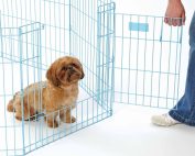 Для собаки со щенками лучше приобрести вольер с порожком, который взрослое животное сможет переступить или перепрыгнуть Для собаки со щенками лучше приобрести вольер с порожком, который взрослое животное сможет переступить или перепрыгнуть