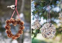 Красивые примеры подвесных кормушек для птиц Красивые примеры подвесных кормушек для птиц