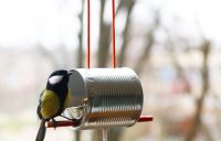 Птичья столовая выполнена из небольшой жестяной банки Птичья столовая выполнена из небольшой жестяной банки