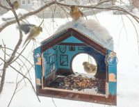 Кормушку из коробки можно оснастить присосками и прикрепить к оконному стеклу Кормушку из коробки можно оснастить присосками и прикрепить к оконному стеклу