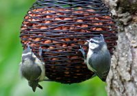 Оригинальная плетеная корзиночка с орехами для птиц Оригинальная плетеная корзиночка с орехами для птиц