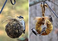 Подвесные конструкции из зерна не только помогают подкармливать птиц, но и украшают сад Подвесные конструкции из зерна не только помогают подкармливать птиц, но и украшают сад