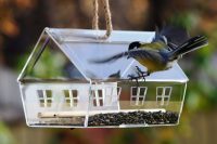 Готовая кормушка для птиц из пластика Готовая кормушка для птиц из пластика